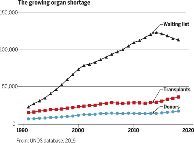 Over 100,000 people are on waiting lists. Organ transplantation from pigs has helped shrink the list in recent years.