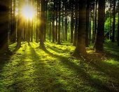 Is the universe fine-tuned?